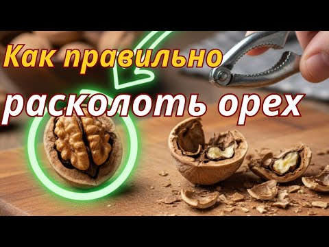 Видео: Как расколоть орех, чтобы ядро осталось целым!