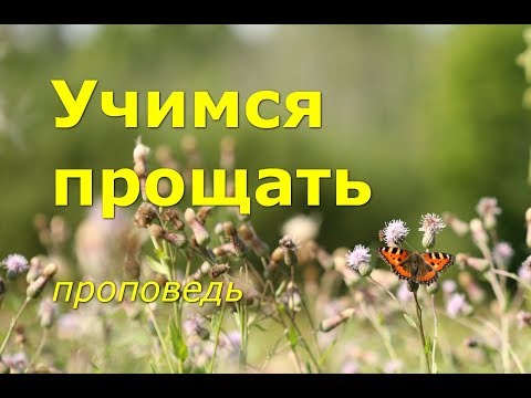 Видео: Учимся прощать...