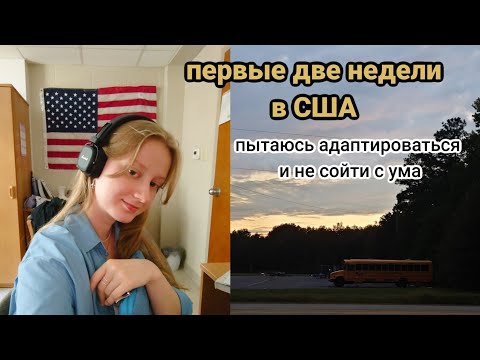 Видео: Видео дневник | Адаптация в университете в США | первые недели