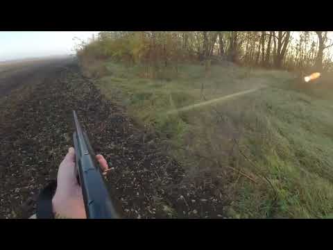 Видео: 13 зайцев сезона ( 2021-2022)  Лучшие  моменты  !   охота с  мр 155