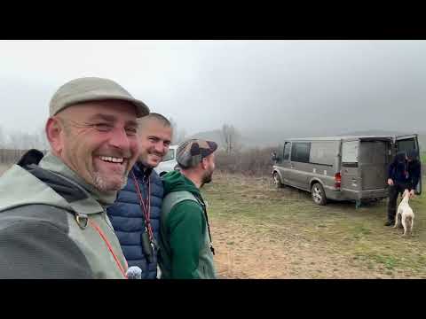 Видео: Тренировка, натаска для бальшой поиск