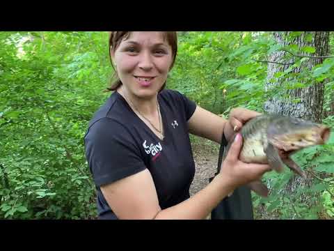 Видео: Мій похід на рибалку за сазаном
