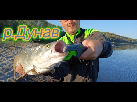 Видео: РАСПЕРИ на спининг по р.Дунав