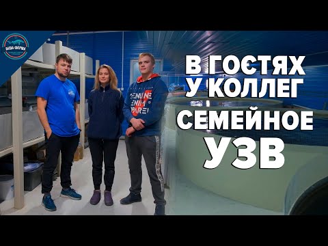 Видео: В гостях у коллег. Семейное УЗВ