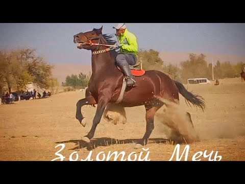 Видео: Бози гаштак д.Чашмасор