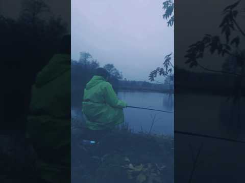 Видео: Кайфовая рыбалка❤️