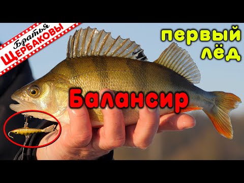 Видео: Ловля на БАЛАНСИРЫ. Первый ЛЁД! ) Как выглядит ПРАВИЛЬНЫЙ ОТЦЕП?