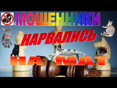 Видео: МОШЕННИКИ НАРВАЛИСЬ НА МАТ