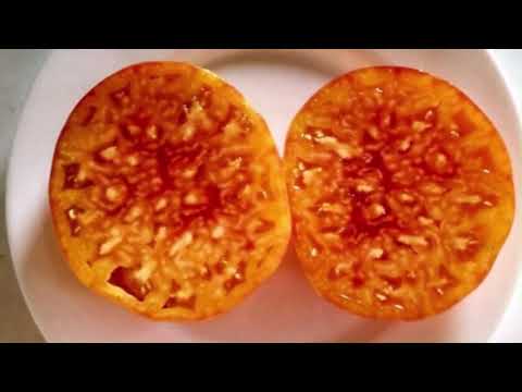 Видео: Каталог томатов 2025 года.  Часть 4.  г.  Киров