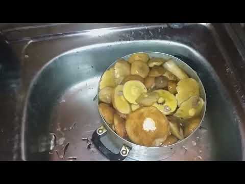 Видео: Маслята чистить не обязательно,мариную их так !