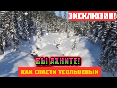 Видео: Тайна тайги и последний шанс: откровения отшельника, изменившие судьбу Усольцевых