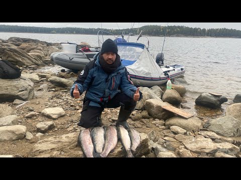 Видео: ВОЛШЕБНАЯ РЫБАЛКА В КАРЕЛИИ | ПЯТЬ ДНЕЙ НА ОСТРОВЕ | ТРОФЕЙНАЯ РЫБА - ФОРЕЛЬ,ЩУКА!