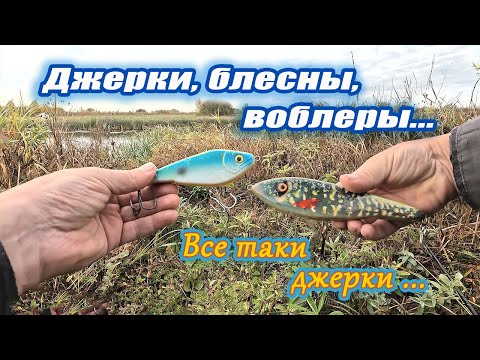 Видео: По щучьим местам..#каналнарыбалку#джеркбейт