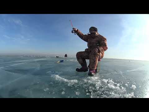 Видео: Капчагай , рыбалка на судака.