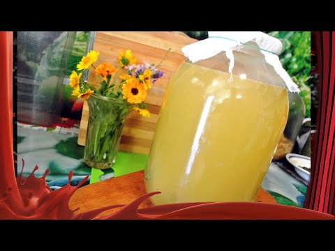 Видео: Лечебный квас по методу Болотова /// Рецепт "чудо кваса".