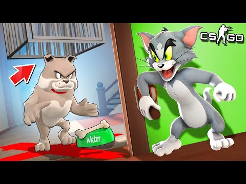 Видео: АХ ТЫ СОБАКА СУТУЛАЯ, ТЫ ЧО ТРОЛЛИШЬ МЕНЯ? ХИТРЫЙ КОТ VS ГЛУПАЯ СОБАКА - МАНЬЯК CS:GO