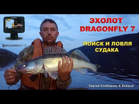 Видео: Эхолот драгонфлай 7. Поиск и ловля судака.