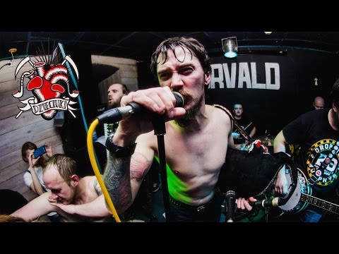 Видео: Dzieciuki – Песьня пра гарадзенскага гастарбайтэра || Concert video