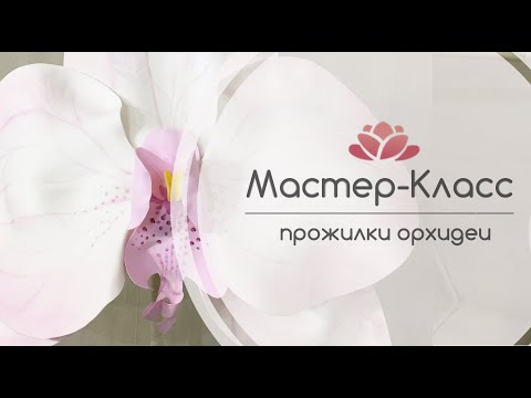 Видео: Бесплатный Мастер-Класс Орхидея из изолона (рисуем прожилки)