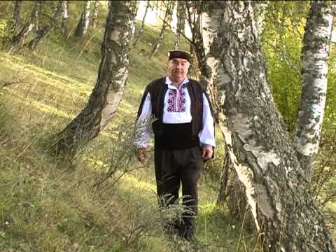 Видео: По друм Одам /Стоян Джаджев