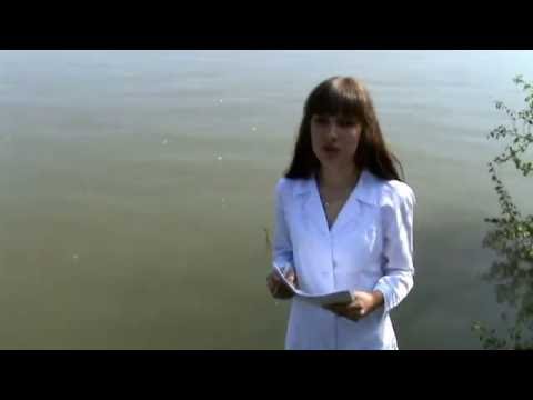 Видео: Отбор проб воды.  Физический анализ