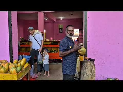 Видео: Цены на фрукты в Гоа Арамболь. Ноябрь 2025 года.