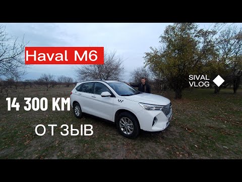 Видео: Haval M6 14 300 км пробега в такси.Без лишних слов отзыв владельца