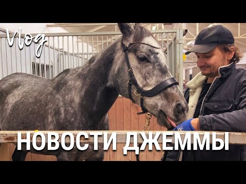 Видео: Новости Джеммы
