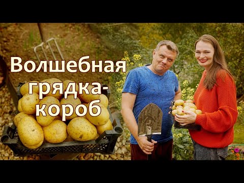 Видео: С такой грядки УРОЖАЙ ВЕДРАМИ! Грядка-короб без секретов и заморочек