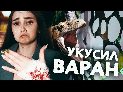 Видео: ТОП-5 ЗЛЮК, что могут укусить! Узнайте, как избежать укусов варанов, змей и других опасных рептилий.