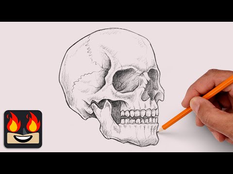 Видео: Как нарисовать человеческий череп | Учебник по эскизам
