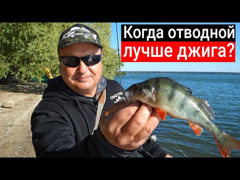 Видео: Когда отводной лучше джига? Эксперимент, часть 2