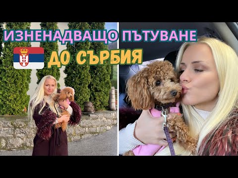 Видео: Влог от СЪРБИЯ🇷🇸| ЕВТИНО ЛИ Е?💰