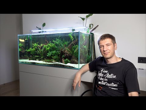 Видео: Медленный травник с геофагусами