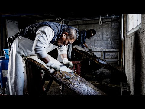 Видео: Древний животный клей - Человек, поддерживающий традицию вымачивания коровьей кожи в реке