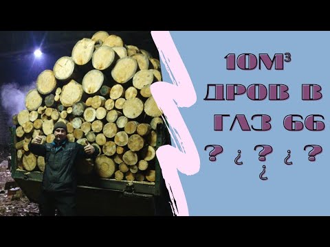 Видео: ты не поверишь??? 10 кубов дров в самосвале #газ 66 ( водить грузить по русски)