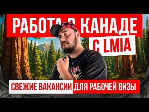 Видео: РАБОЧАЯ ВИЗА В КАНАДУ - РАБОТОДАТЕЛИ ДАЮТ LMIA ПРЯМО СЕЙЧАС!