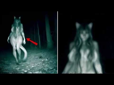 Видео: По Всему Миру Началось Нечто Необъяснимое