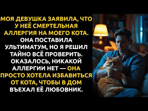 Видео: Моя девушка поставила УЛЬТИМАТУМ: я или кот... и я ВЫБРАЛ кота, когда узнал её СЕКРЕТ.