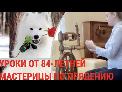 Видео: Прядение собачьей шерсти (часть 3)// @lenagrigor