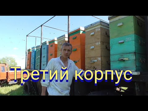 Видео: Расширение многокорпусного улья третьим корпусом.