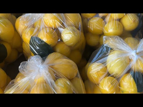 Видео: ОПТОМ. БОЗОР. АНОР. КАРТОШКА. ПИЁЗ. ЛИМОН. ТАРБУЗ. ПАМИДОР. САБЗИ. БОДРИНГ. ҚОВОҚ. БОДИРИНГ.  КАРОМ