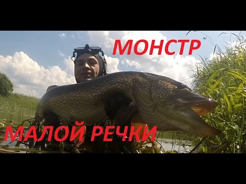 Видео: СУПЕР Рекорд!Щука сожрала всю рыбу!Подводная охота на Монстра 2020!