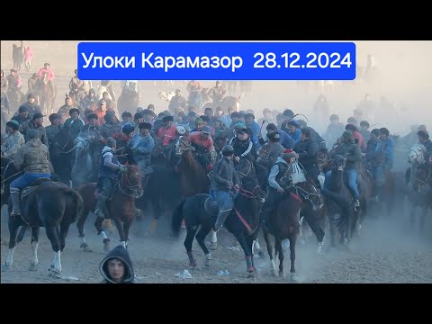 Видео: Улоки Карамазор 28.12.2024/ Бузкаши Самандар Кенжаев