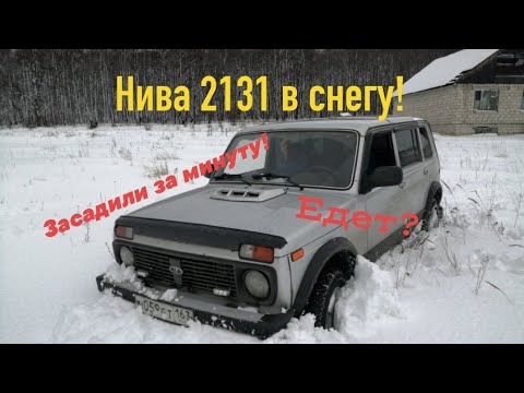 Видео: Offroad с батей! Проходимость Нивы 2131, сравнение с Chevrolet Niva