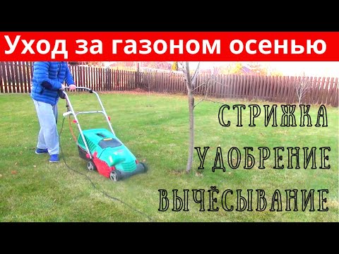 Видео: Уход за газоном ОСЕНЬЮ в октябре✅Чем удобрять газон осенью❓Аэрация и скарификация газона перед зимой