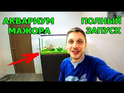 Видео: Запустил аквариум мажора