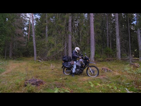 Видео: Мотопикник в лесу!