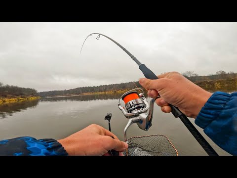 Видео: ВОТ ЭТО КЛЁВ, РЕКА РАЗДАЁТ и РАДУЕТ РЫБОЙ. Рыбалка на спиннинг в ноябре 2025