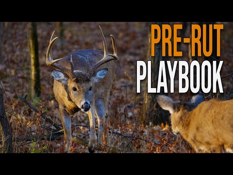 Видео: 5 тактик раннего гона, которые действительно работают (в этом сезоне нужно быстро выходить из игры)